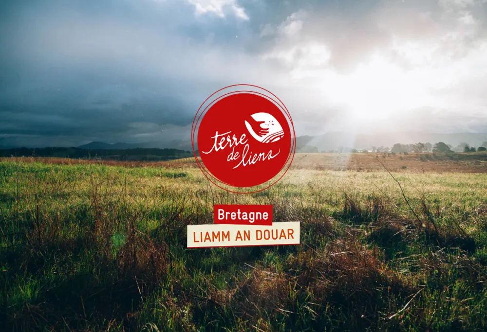 Liamm an douar : luskad an douaroù boutin 1/2