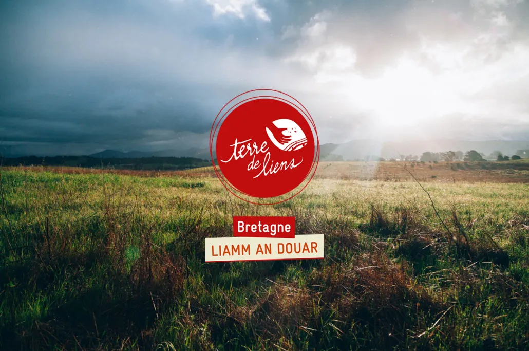 Liamm an douar : luskad an douaroù boutin 1/2