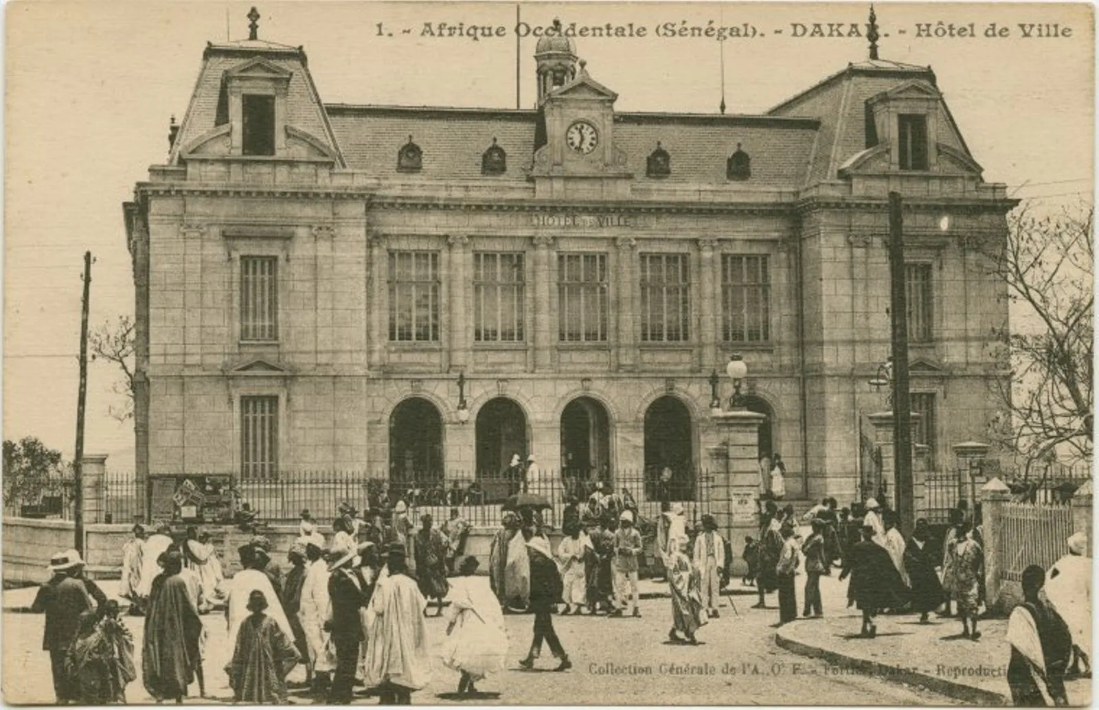 BO #106 : Balade en Afrique & nouveautés