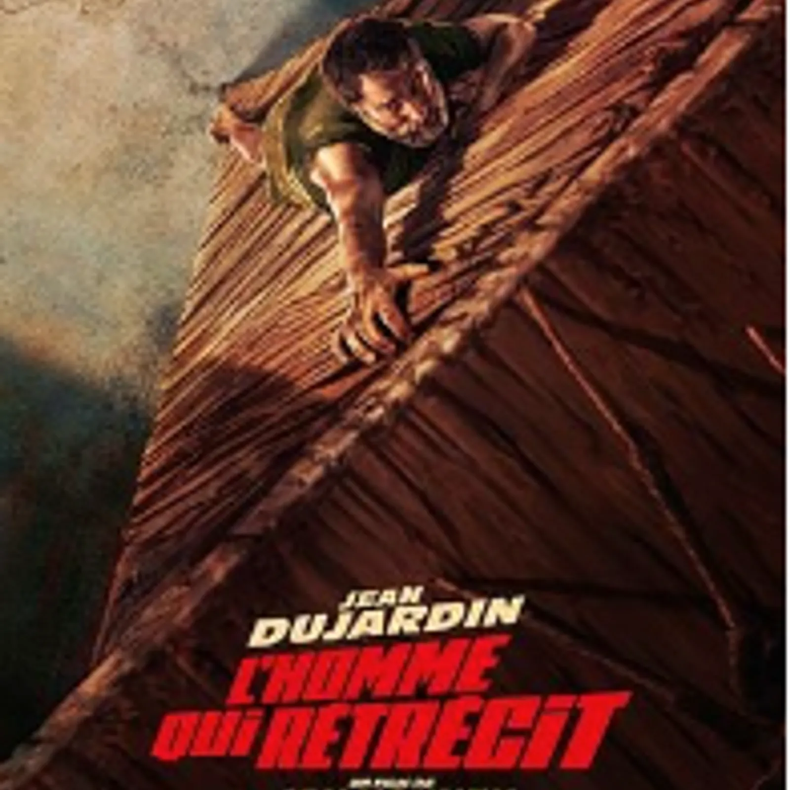 programmation du ciné Roch de Guémené/scorff du 19 au 25 novembre