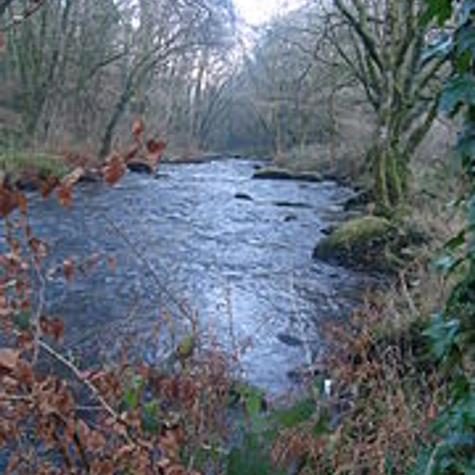 Kalite an dour-kog e Breizh