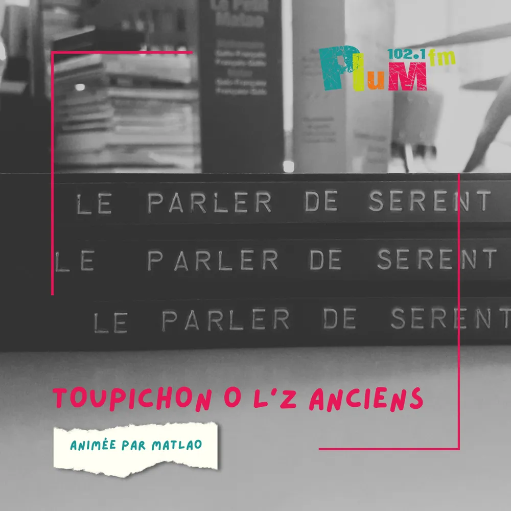 Toupichon avec les anciens N°66 : La toiture
