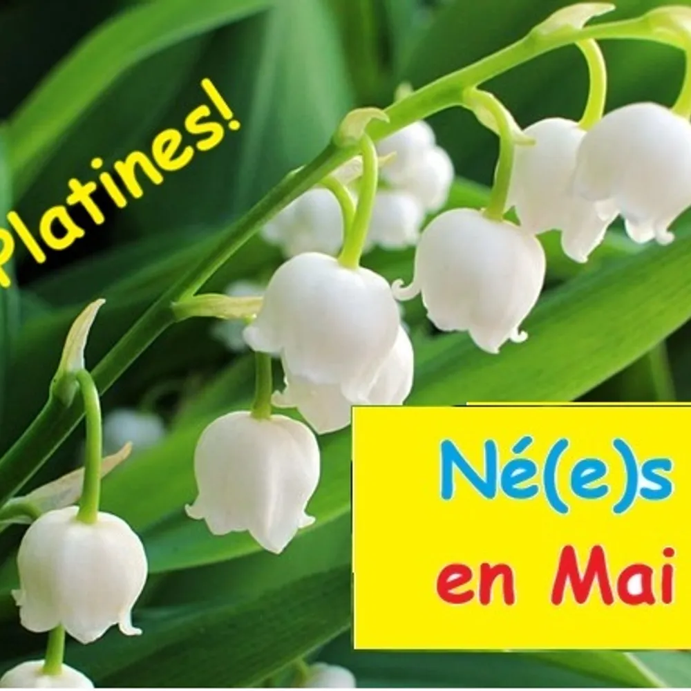 Né(e)s en mai