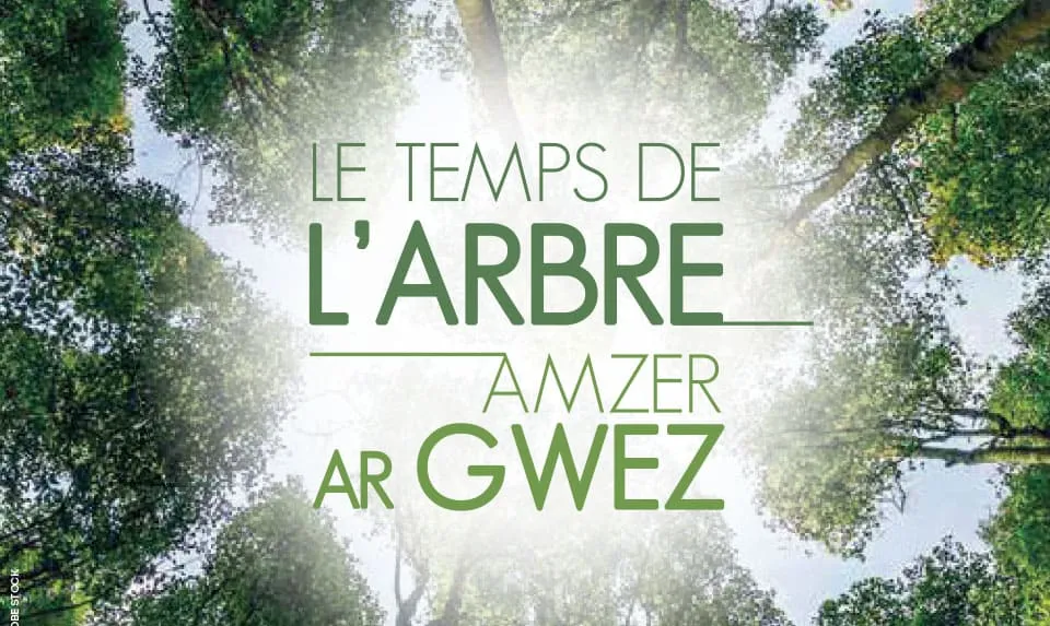 C'hwezh an deiz 07/10/2022