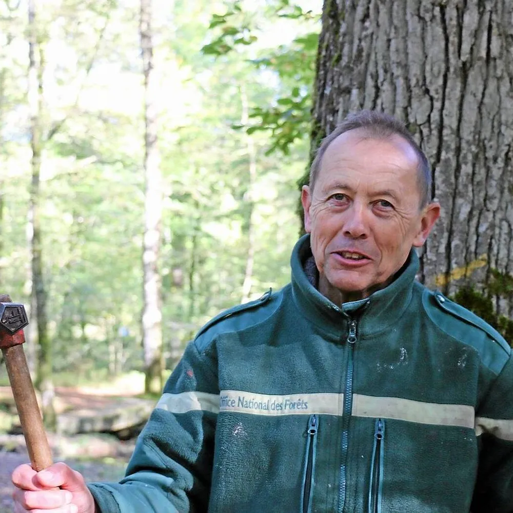 Le garde-forestier (2/2)