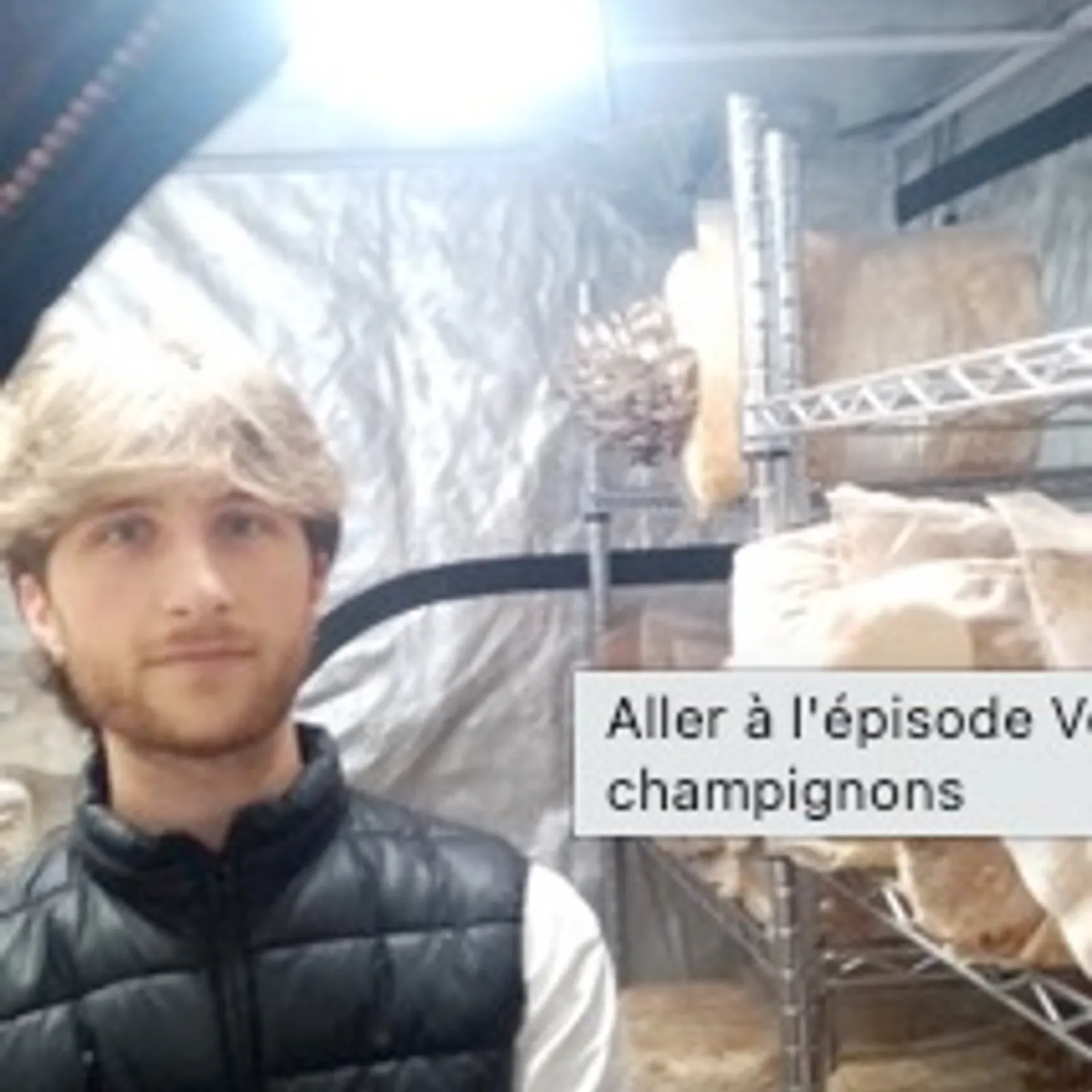  Vendre, cultiver, transmettre : le quotidien d’un producteur de champignons 