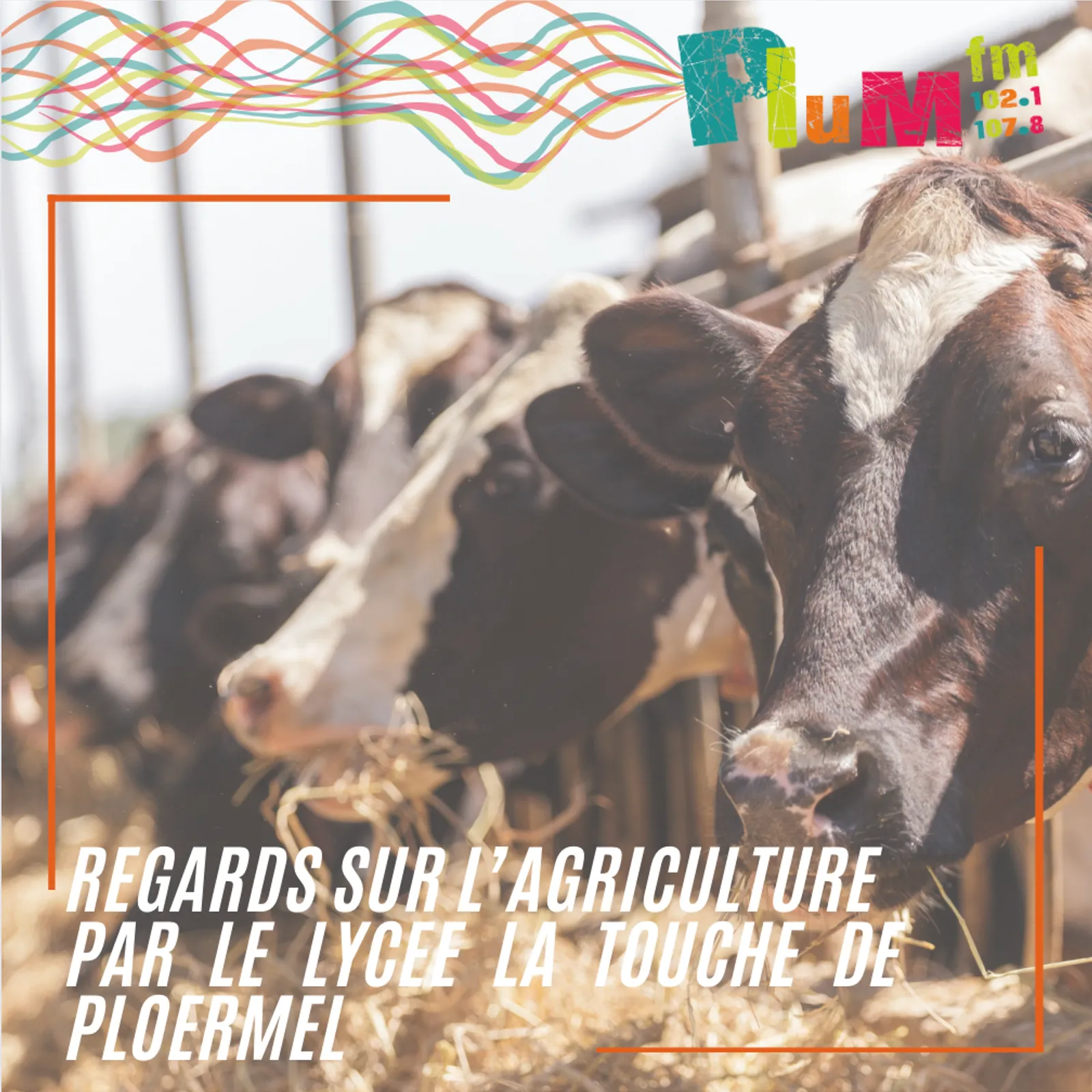 La Touche on air : les concours agricoles