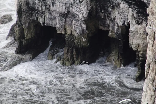 C'hwezh an deiz 25/02/2025