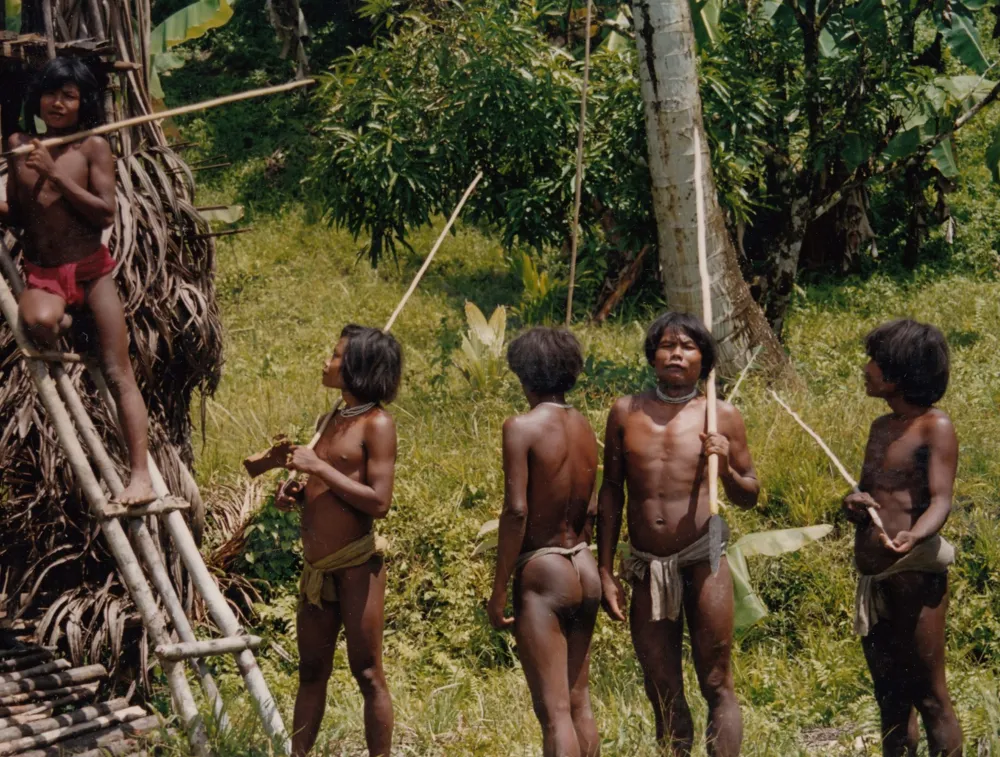 Distruj ar re Shompen ?