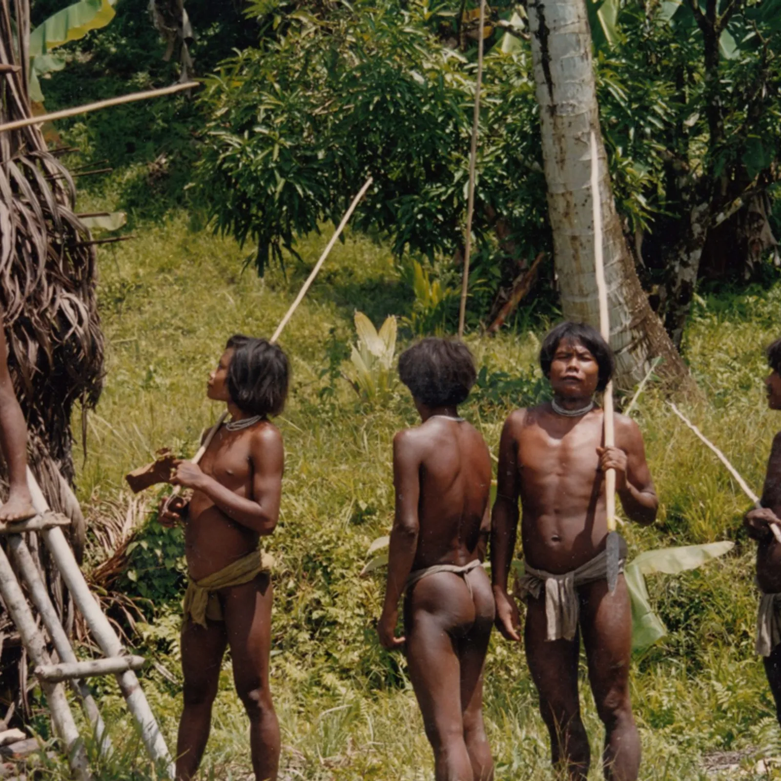 La fin des Shompens ?