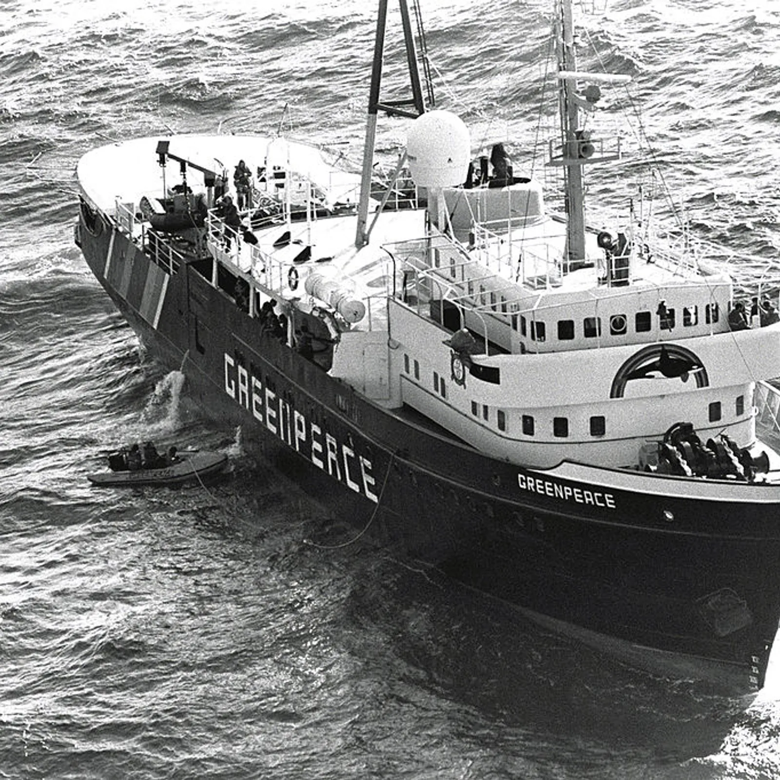 Green Washing #18 Green Peace 