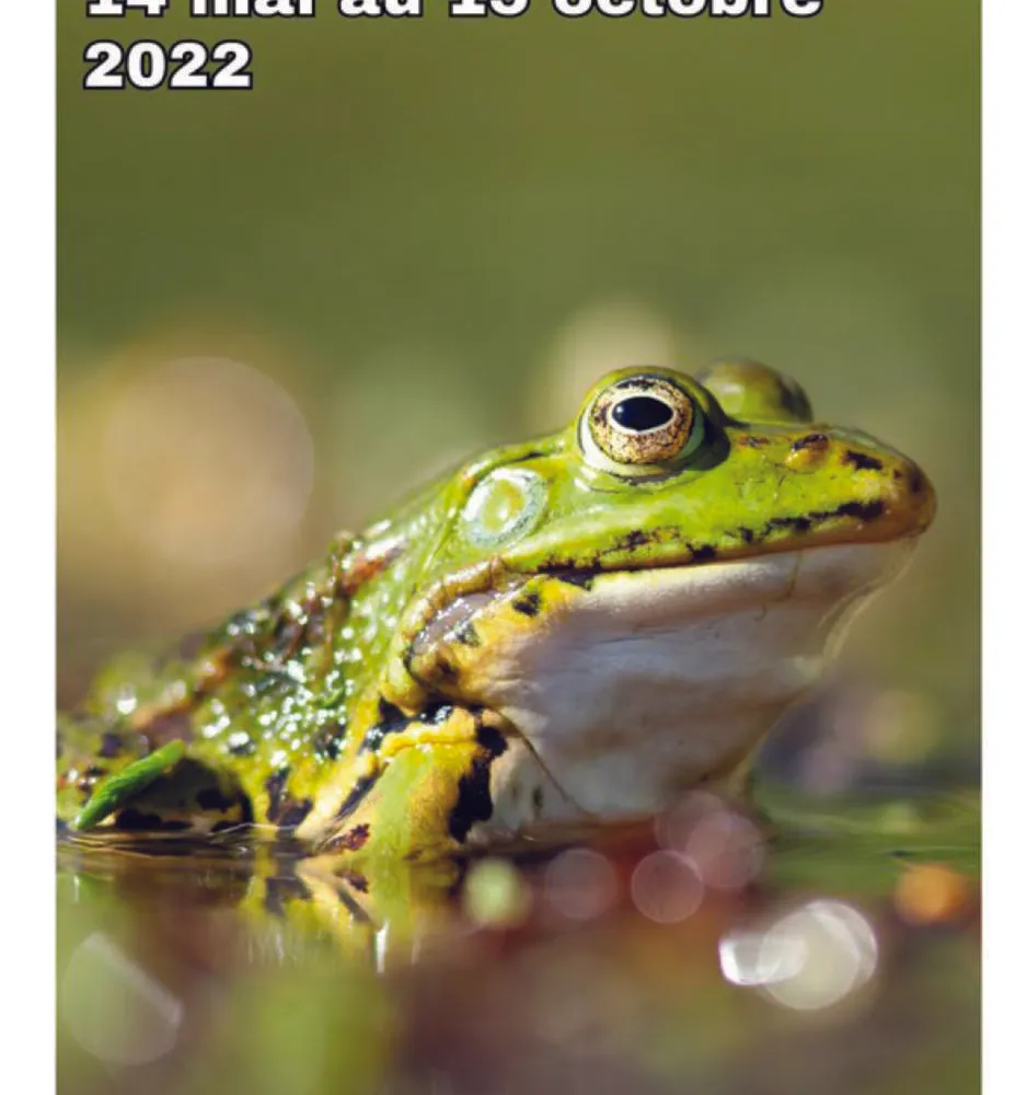 Pennad-kaoz ar sizhun - Festival foto loened Ti Menez Are