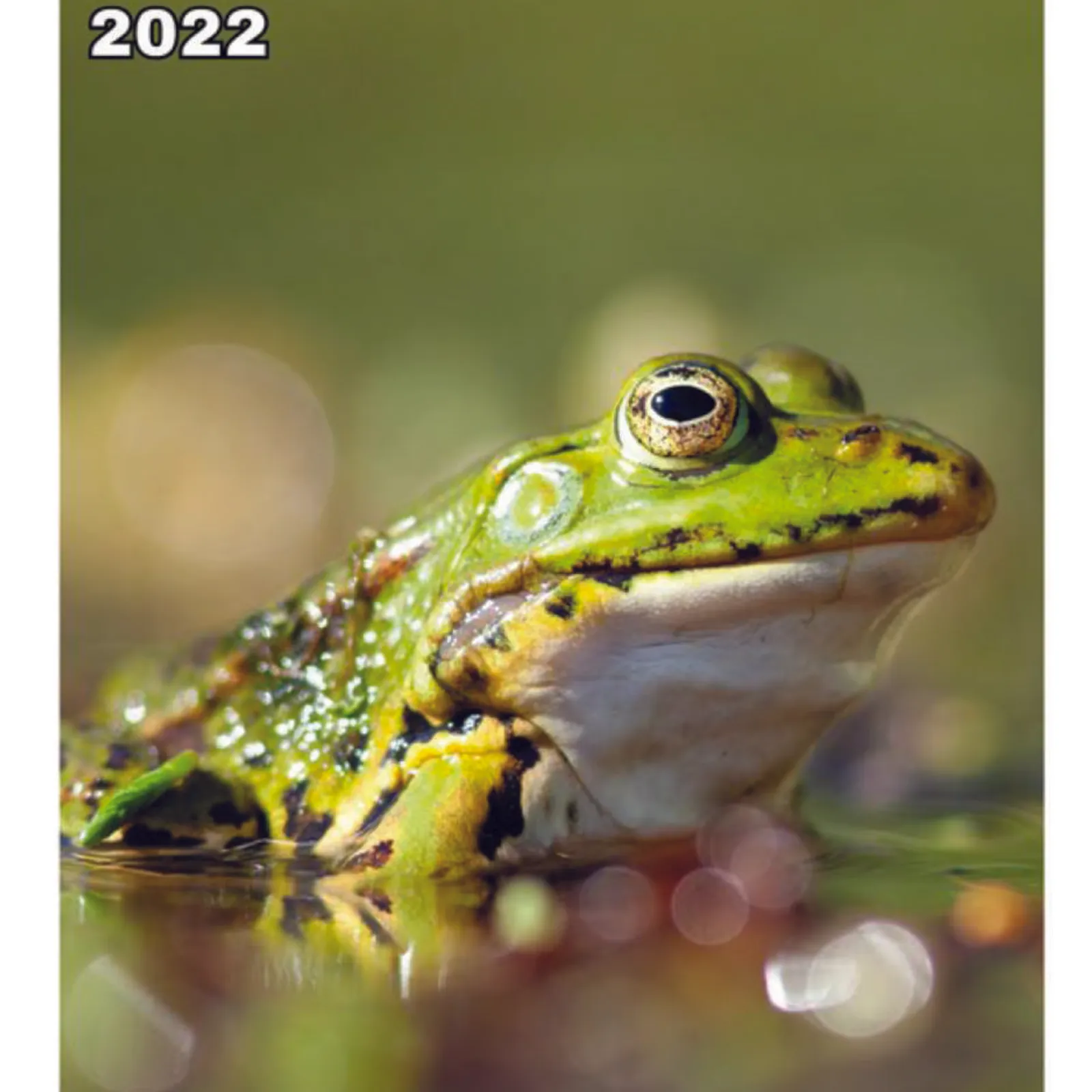 Pennad-kaoz ar sizhun - Festival foto loened Ti Menez Are