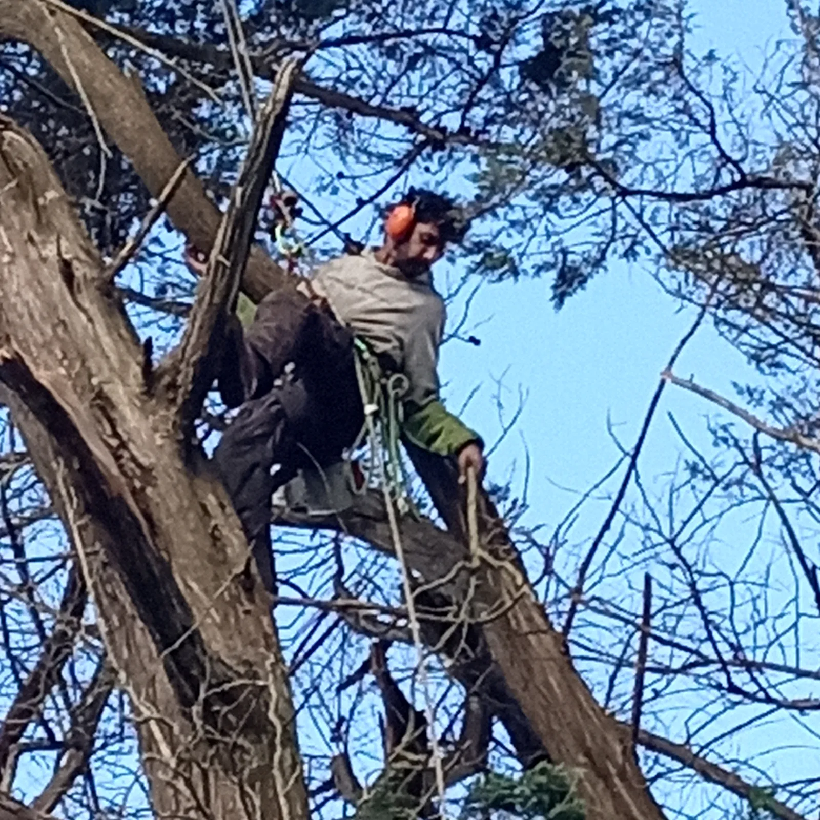 Beuzet eo ar geuneuterien gant al labour war lerc'h Ciaran!