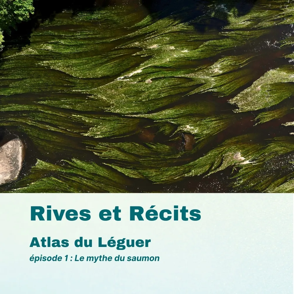 7. L'atlas socioculturel du Léguer : Le mythe du saumon