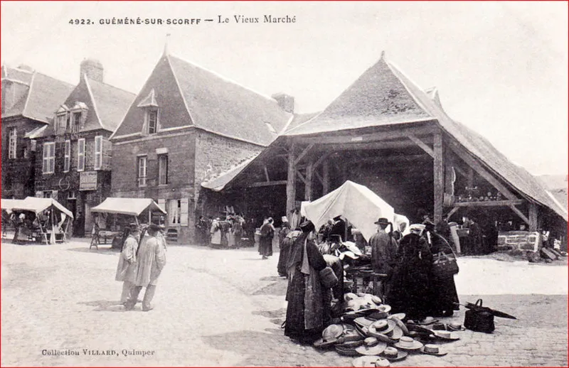 Fine Darcel - Mémoires de vi(ll)es