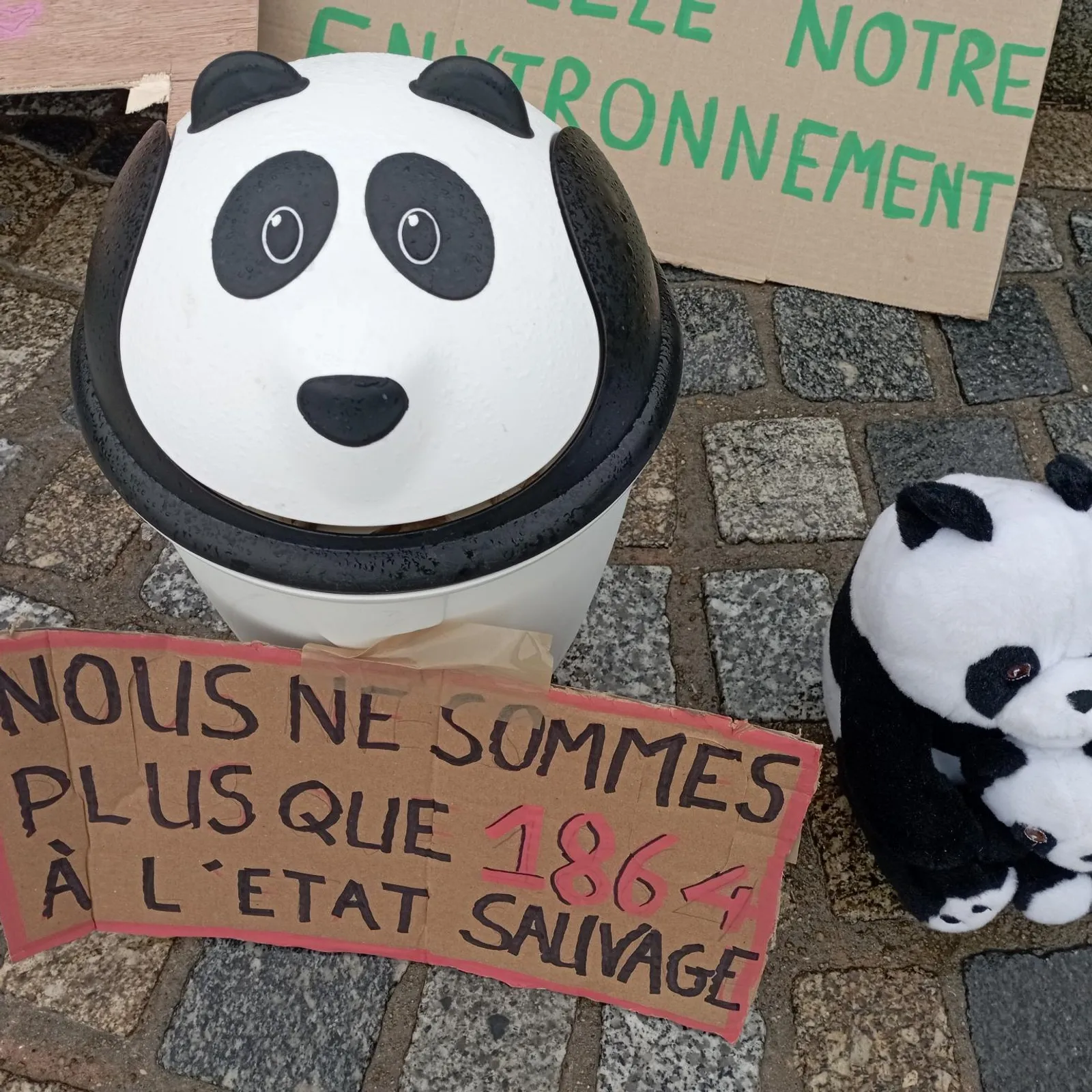 Militer pour l'environnement : Extinction Rébellion arrive à Carhaix