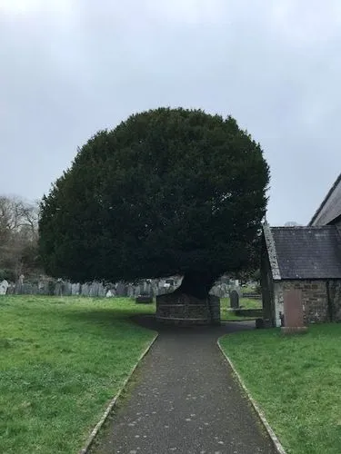 "Pourquoi pas vieilles" et la mort idéale : rencontre avec l'association "Ultime Liberté", partie 2