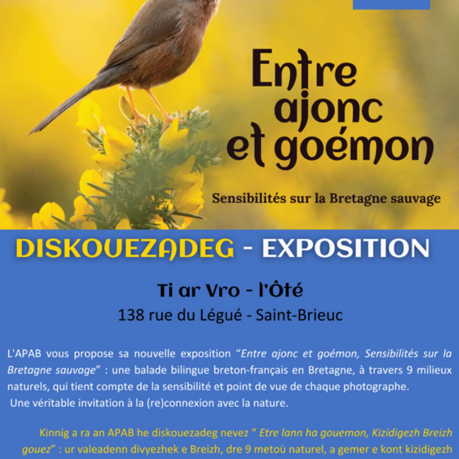 Avel em fenn - Gwener 29 a viz Gwengolo