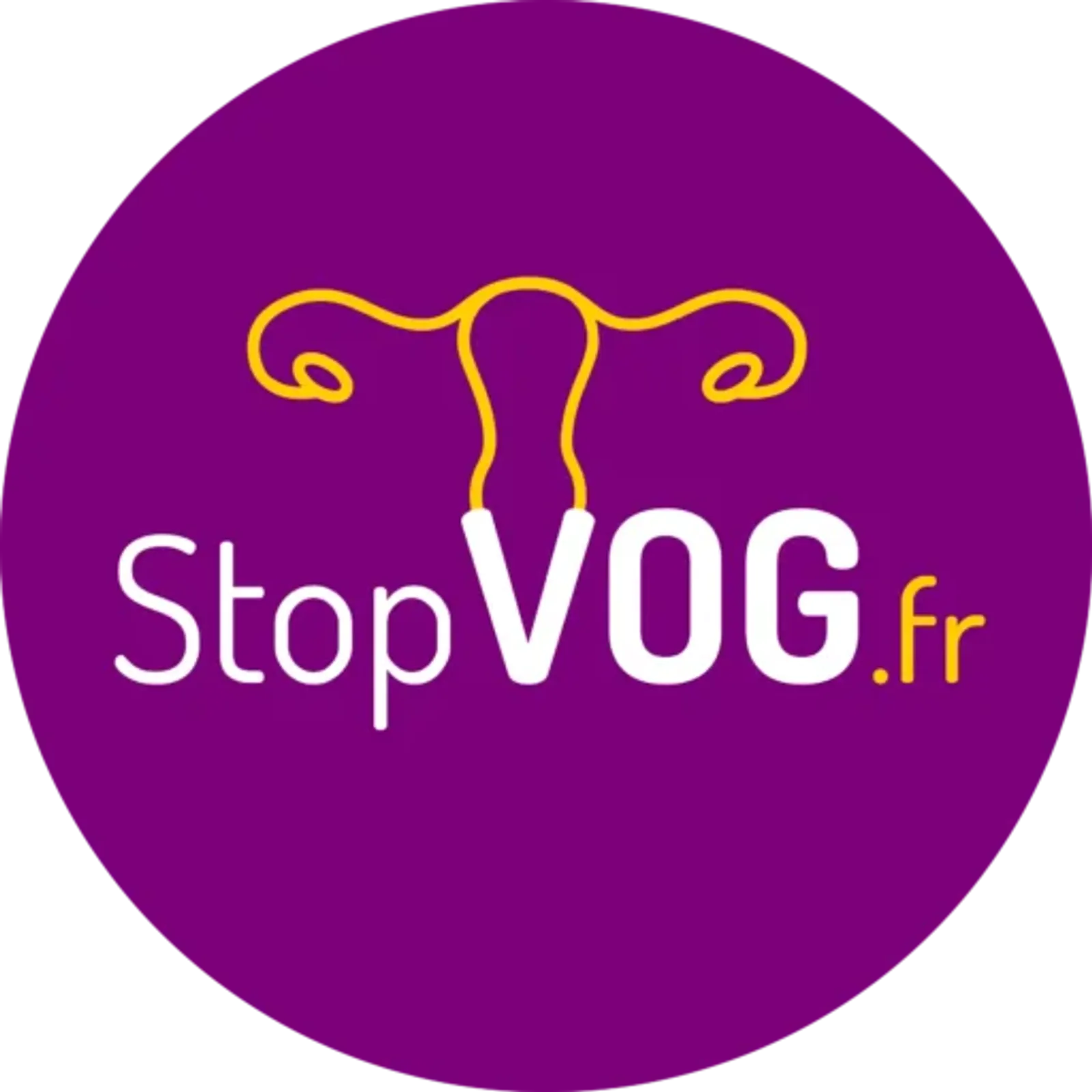 StopVOG, un collectif contre les violences obstétricales et gynécologiques
