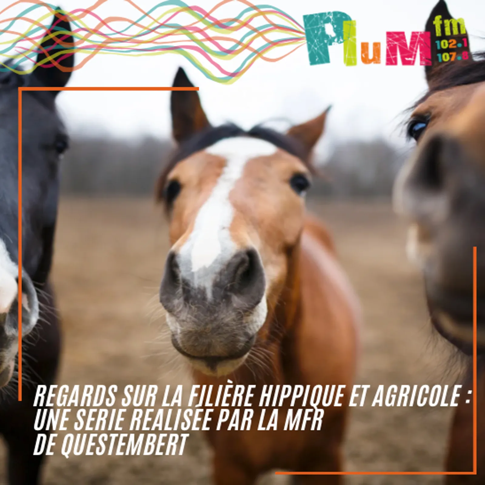 Les races de vaches, avec Lola et Lya de la MFR de Questembert