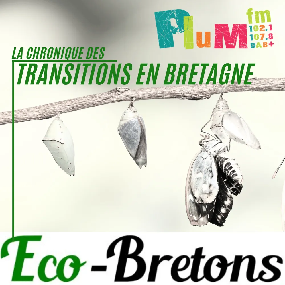 La chronique des transitions en Bretagne