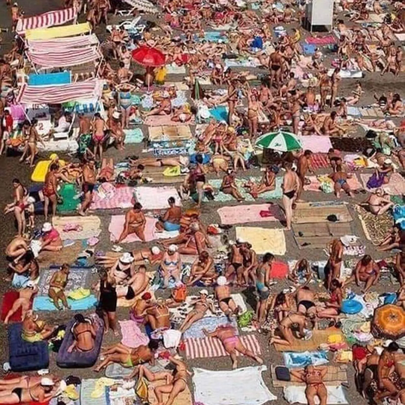 L'Oreille de Moscou : enfin la rentrée !!