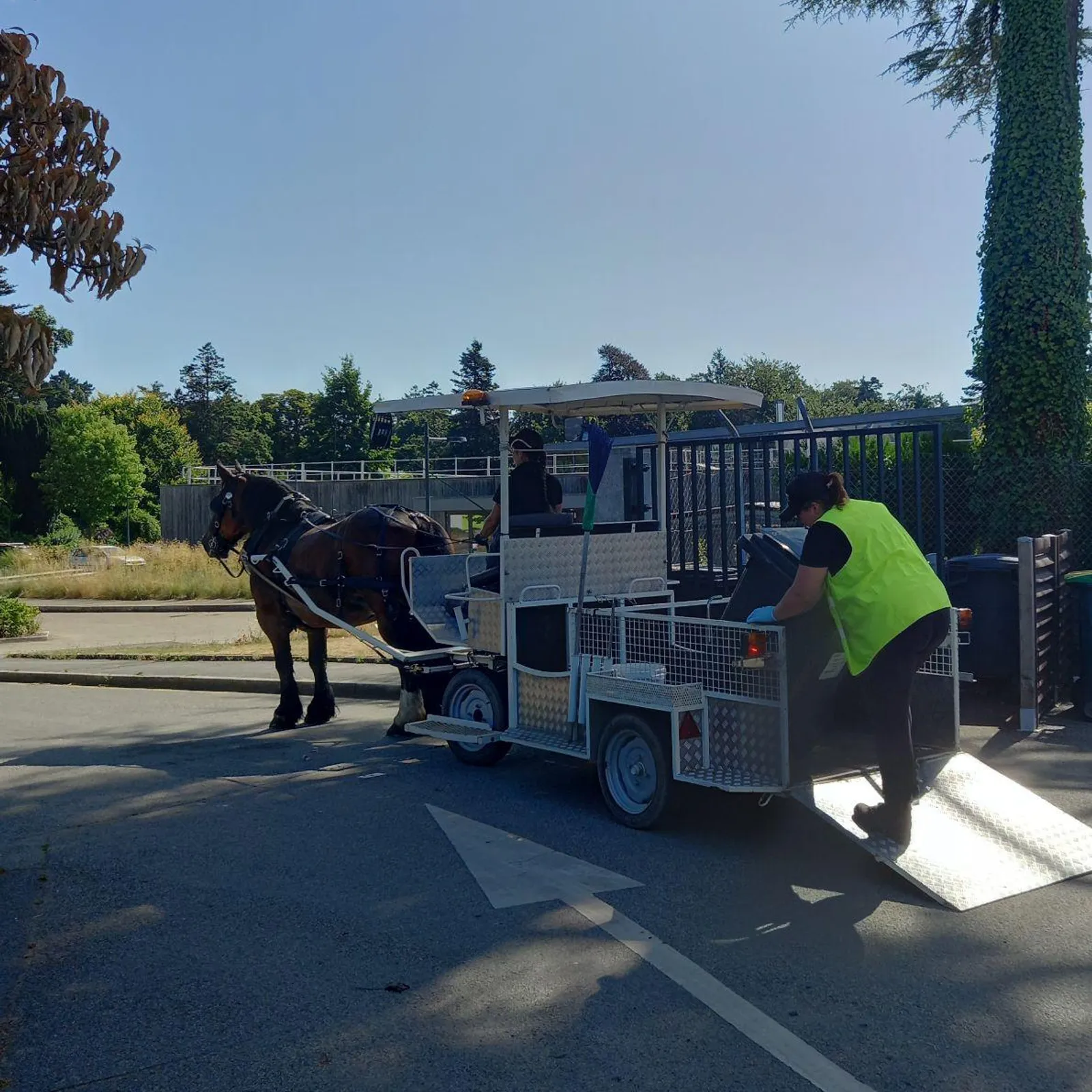 Une tournée de ramassage de déchets avec le cheval territorial d'Hennebont