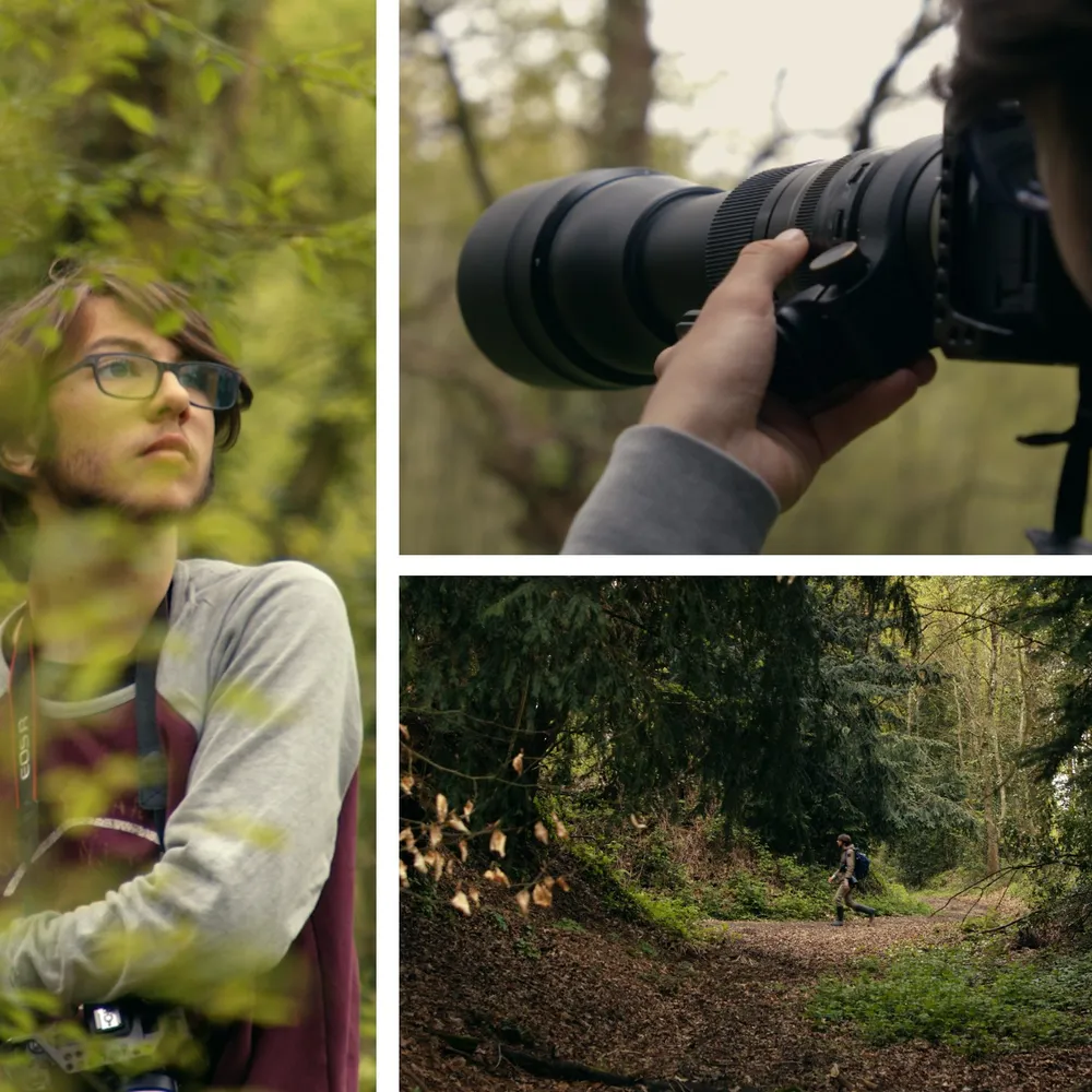 Les photos animalières d'Amauri