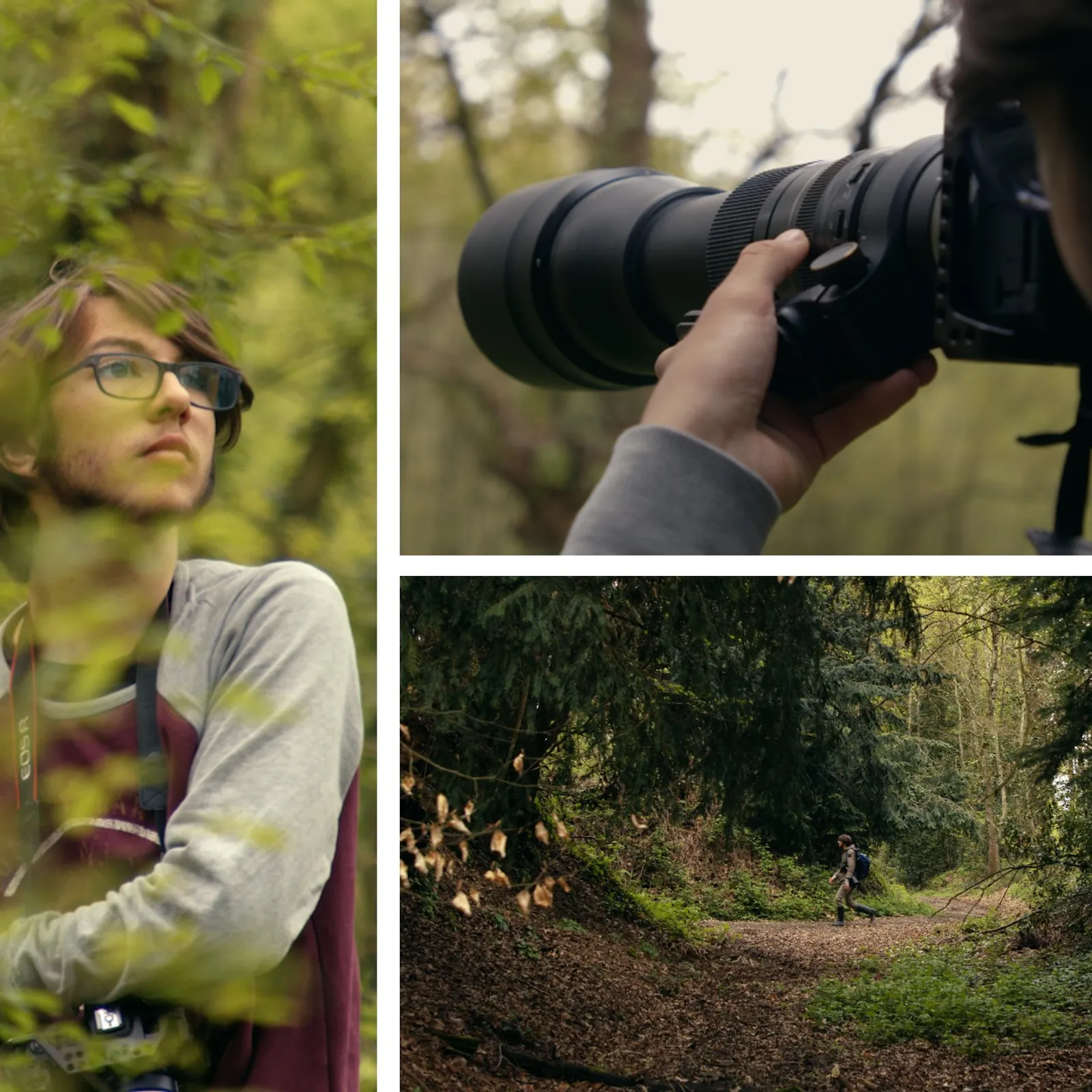 Les photos animalières d'Amauri