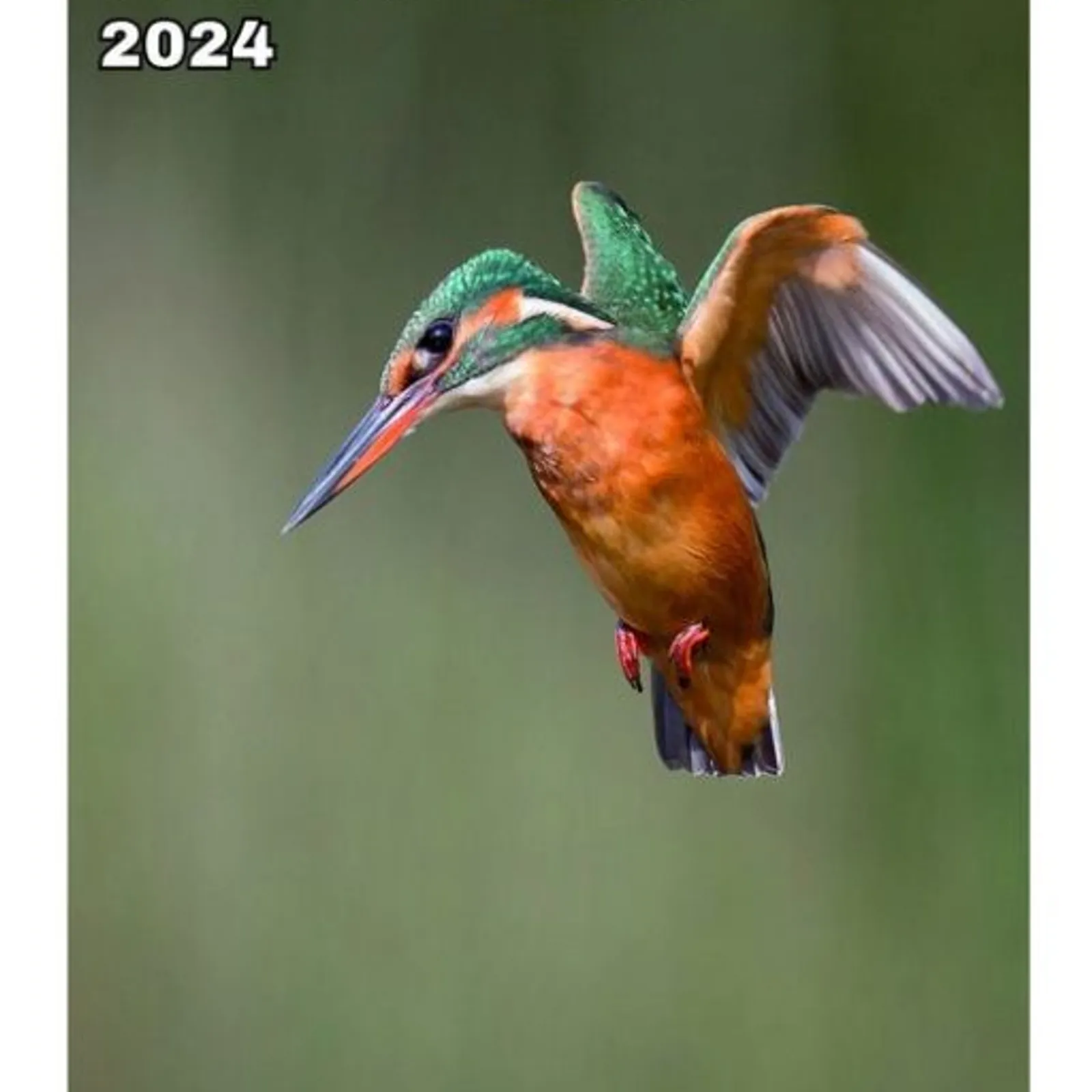 Pevare Festival Foto Loened e Ti Menez Are