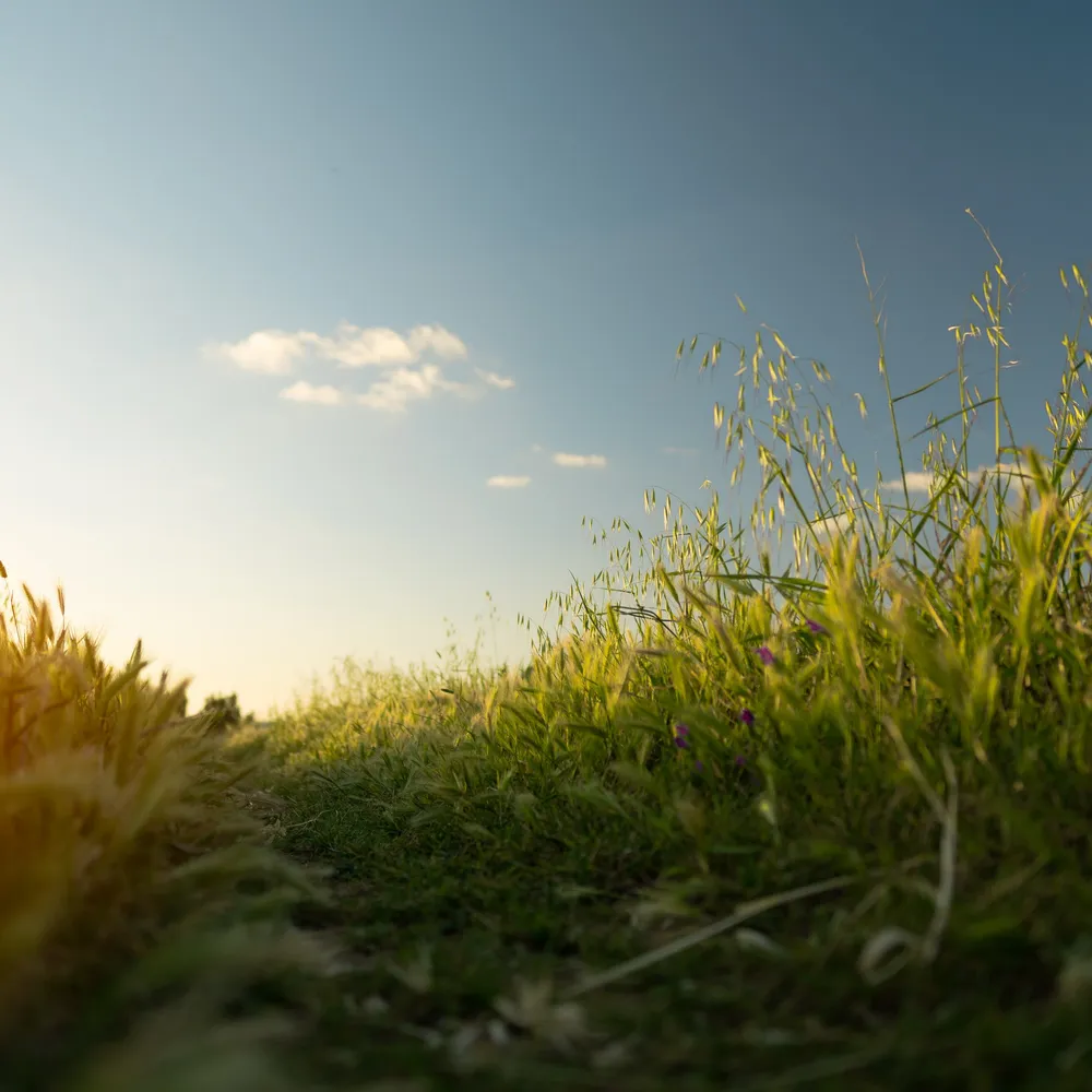 C'hwezh an Deiz 10/02/2023