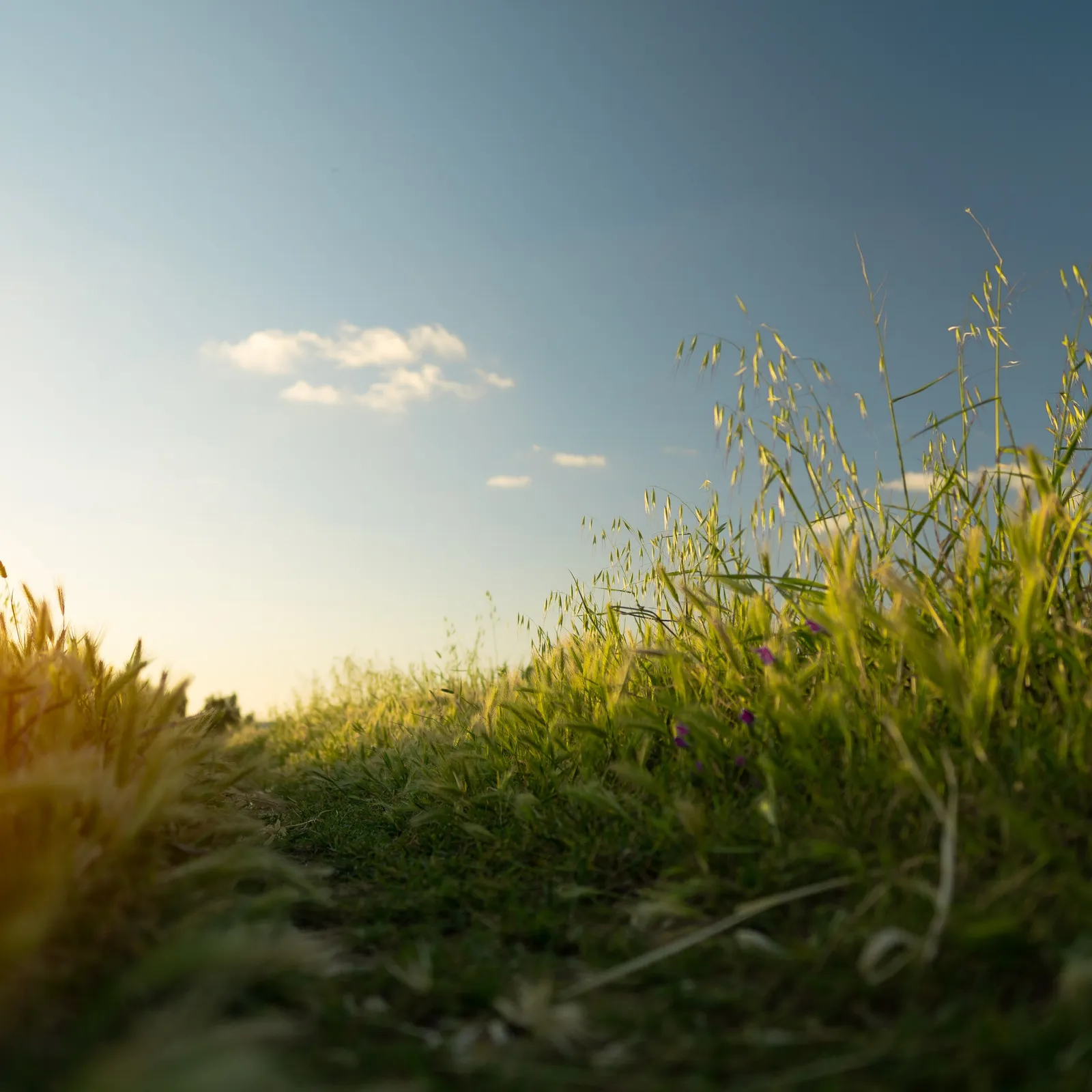 C'hwezh an Deiz 10/02/2023