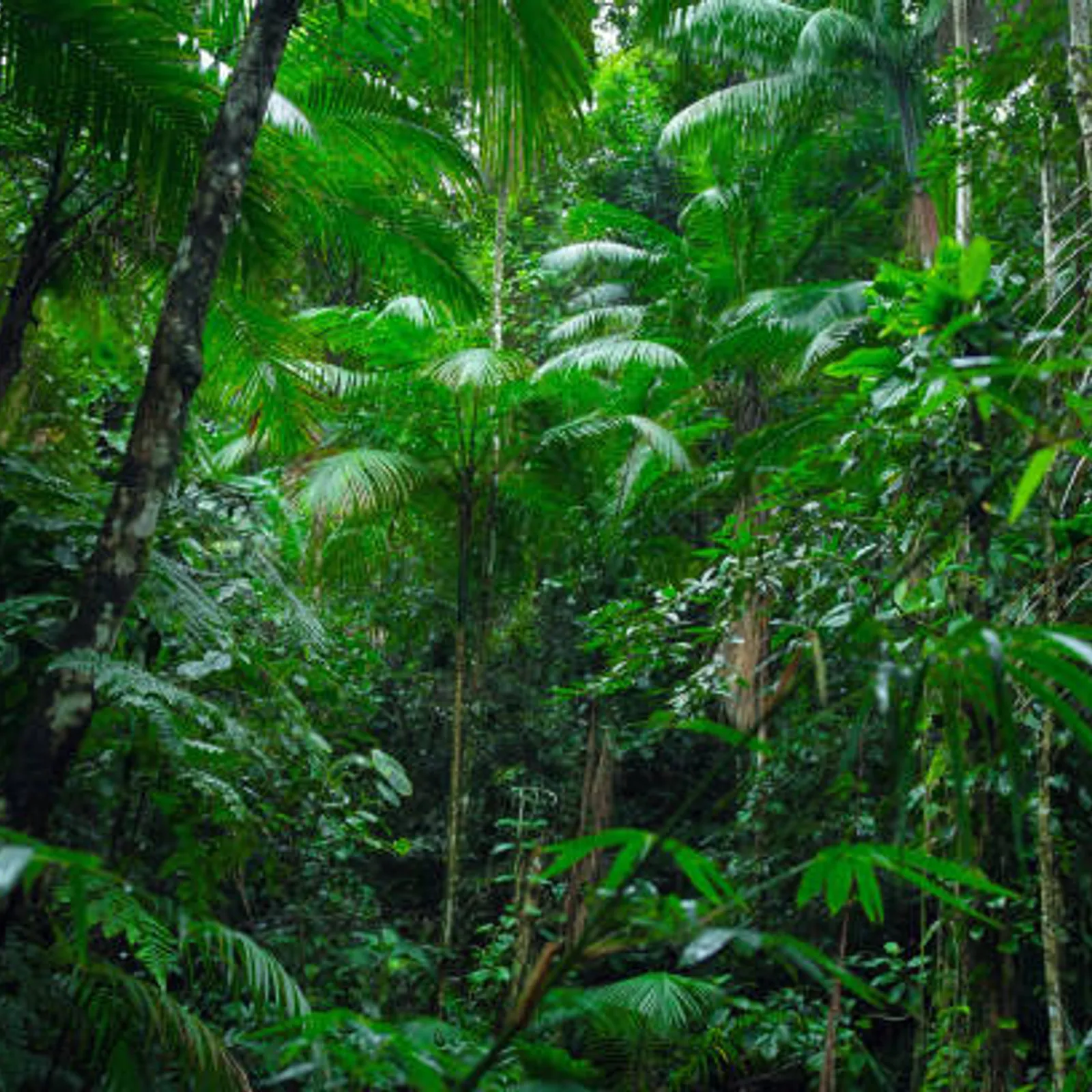 C'hwezh an Deiz 04/04/2024