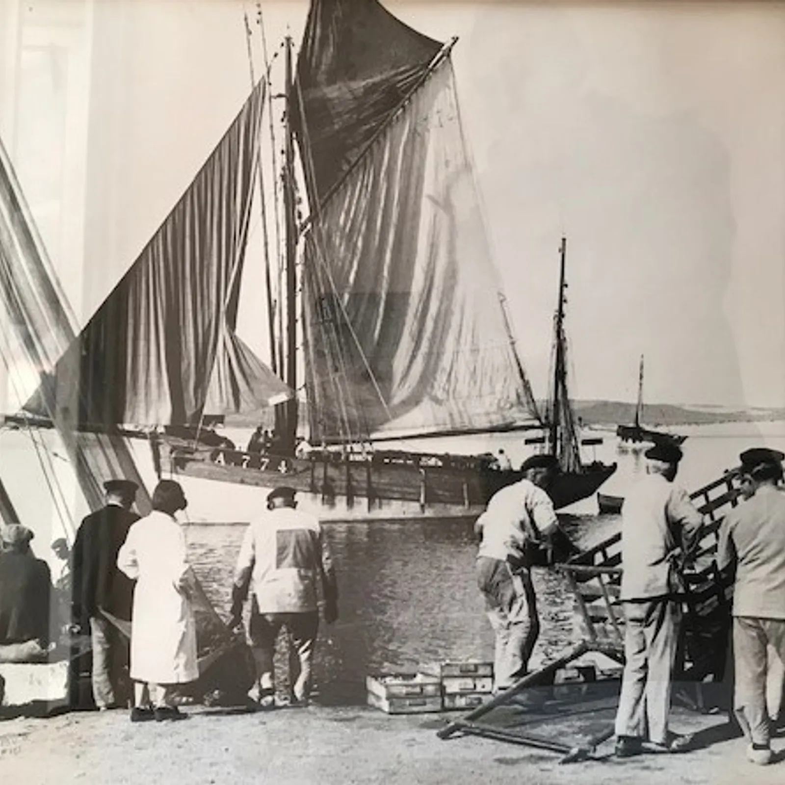 Alain Le Chat de Plouhinec