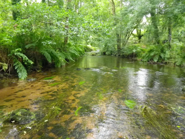 Ange Le Goff de Melrant 2/2