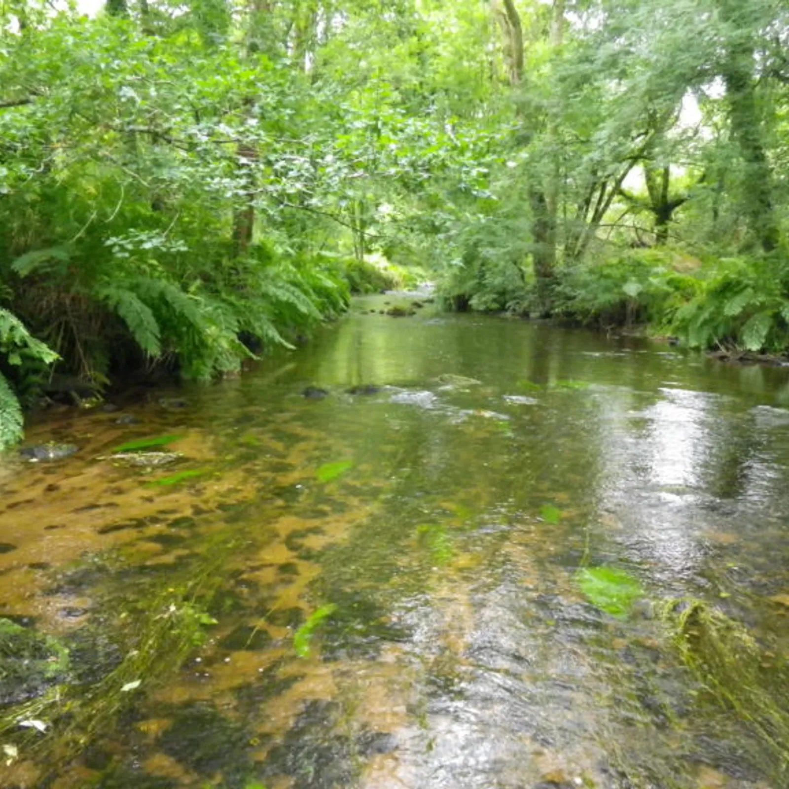 Ange Le Goff de Melrant 2/2