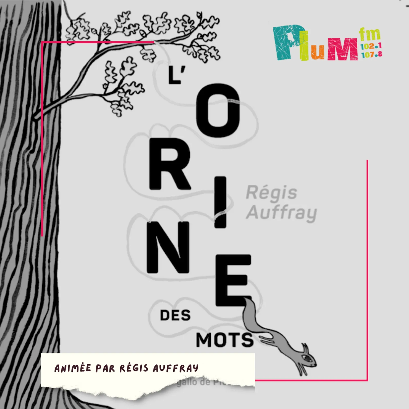 L'orine des mots : bourier