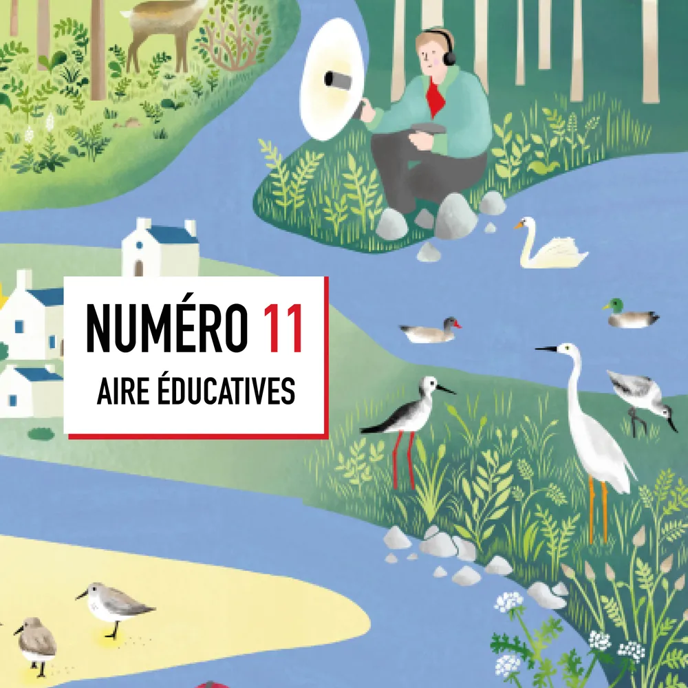 11- Les aires éducatives