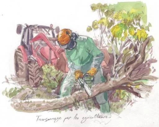 Le bocage au coeur de la dernière enquête de Splann // VISA 35 invite un journaliste, ciblé par la "Méthode Callac"