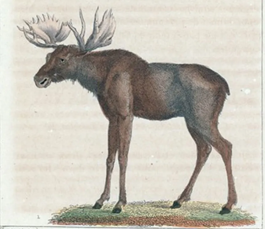 Bandes Organisées #42 : Transmusicales 2022