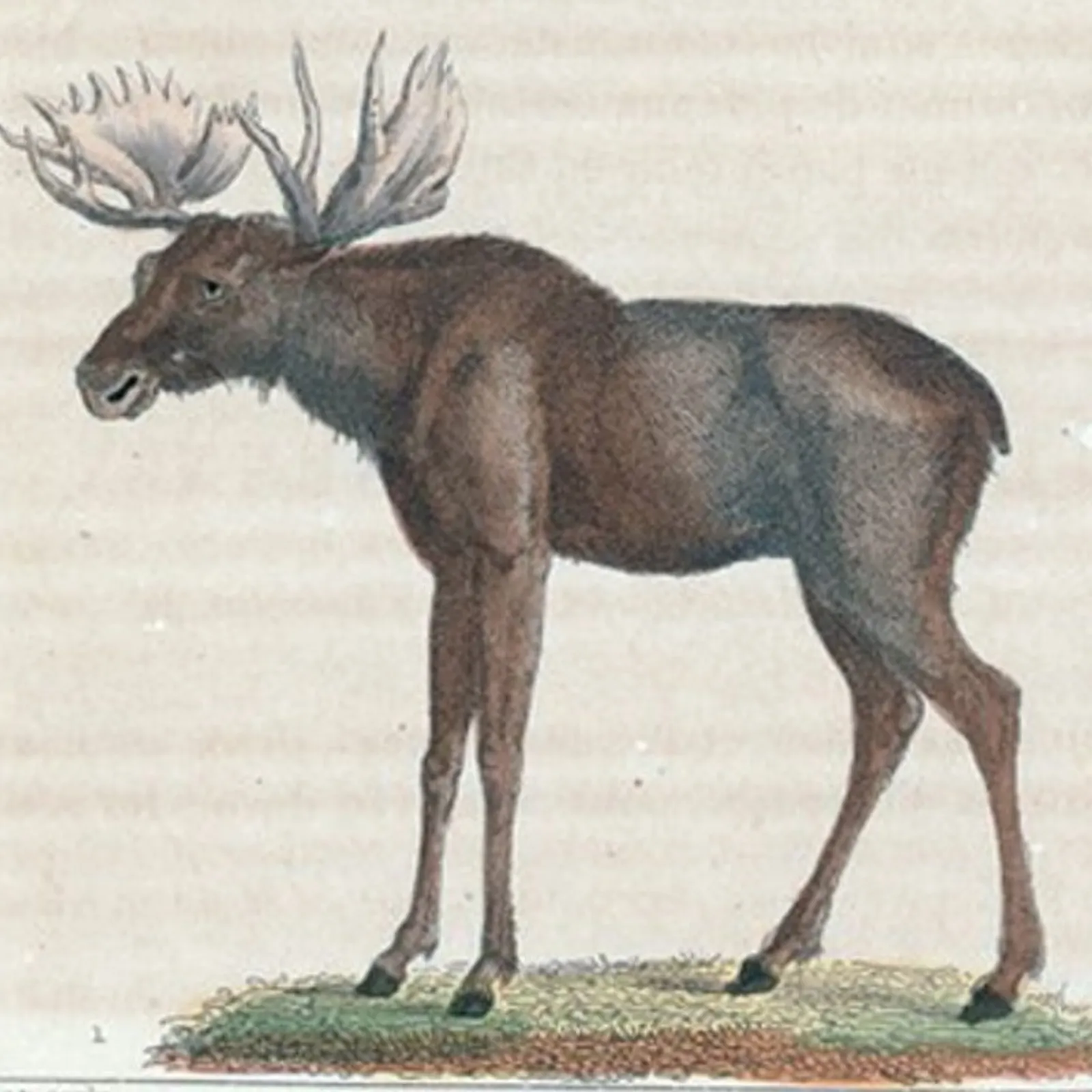 Bandes Organisées #42 : Transmusicales 2022