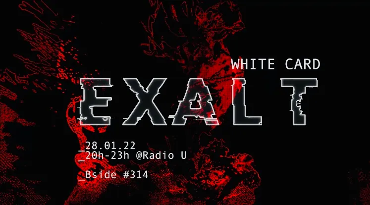 Bside Airlines - Flight#314 - WHITE CARD EXALT