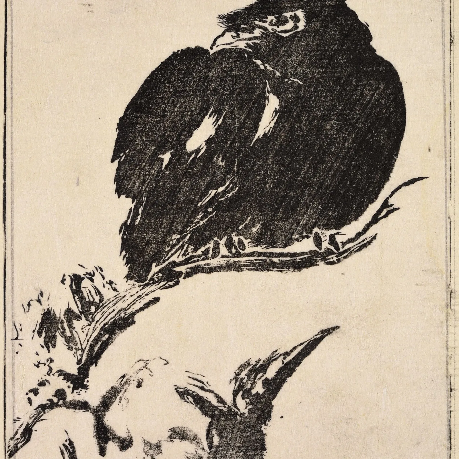 Bandes Organisées #69 : le 6éme album