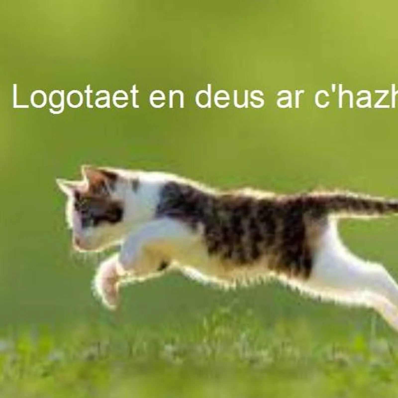 Cours n°158