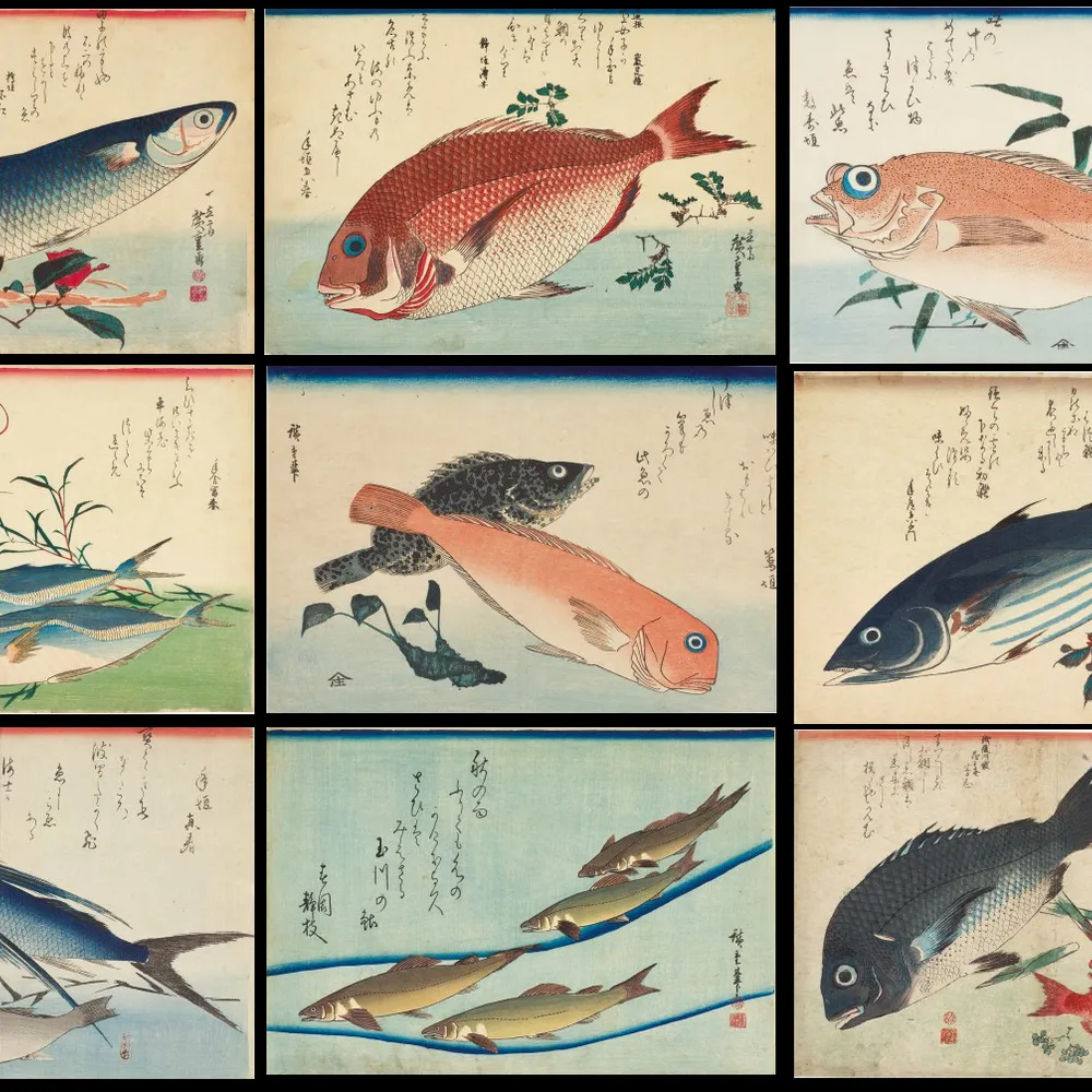 Rock et Boomer, épisode 58.