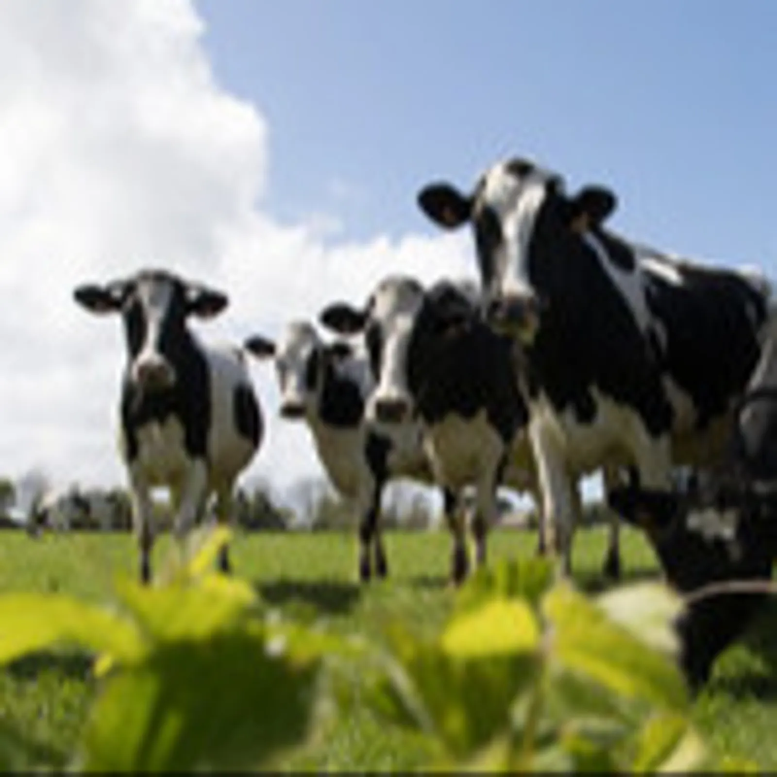 Barnet e vo al labourerien-douar el lez-varn kenwerzh