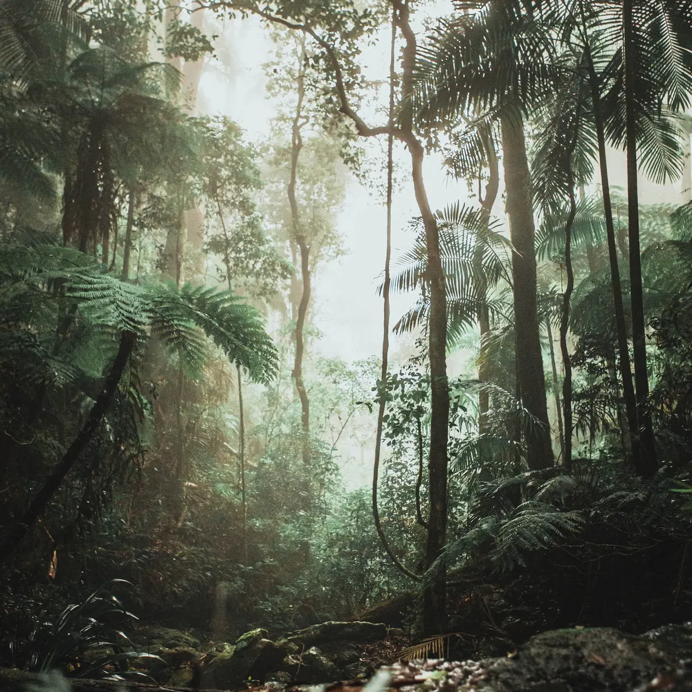 Digoradur ha mare an Trias