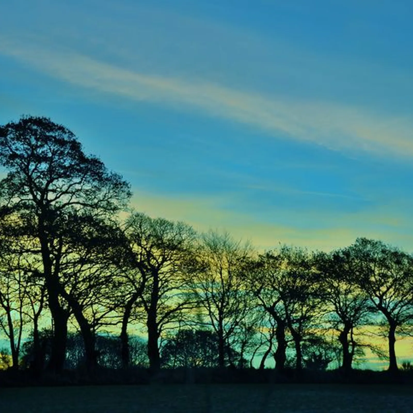 Pierre-Louis Guenver, paotr ar gwez e Poullaouen