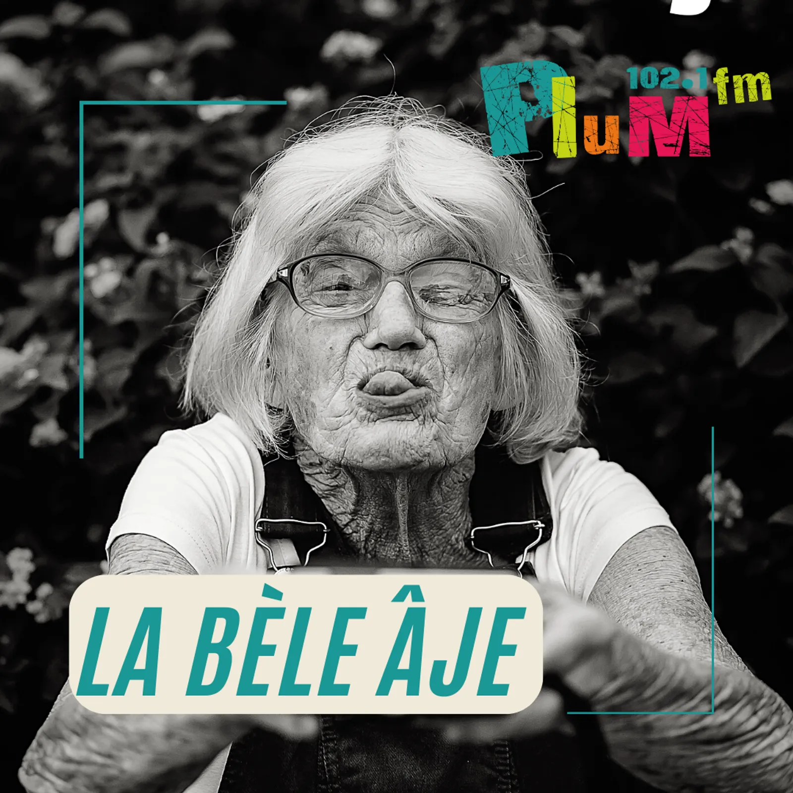 La bèle aje à Malestroit, épisode 7, les élections présidentielles